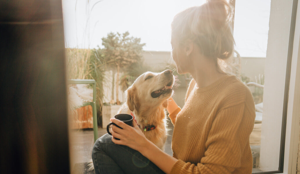 A woman and her dog sitting in the sunlight.
